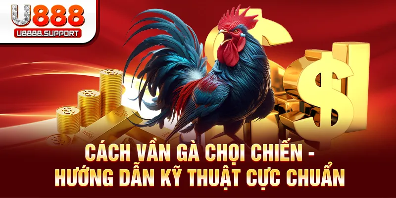 Cách vần gà chọi chiến
