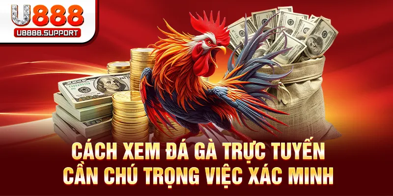 Cách xem đá gà trực tuyến cần chú trọng việc xác minh