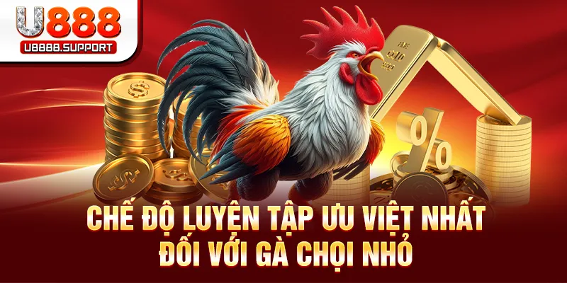 Phương pháp rèn luyện cách chiến đấu hiệu quả từ khi còn nhỏ
