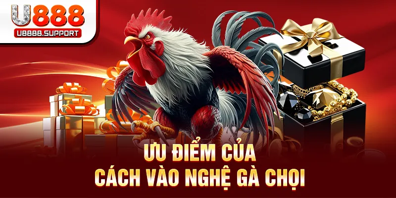 Ưu điểm của cách vào nghệ gà chọi